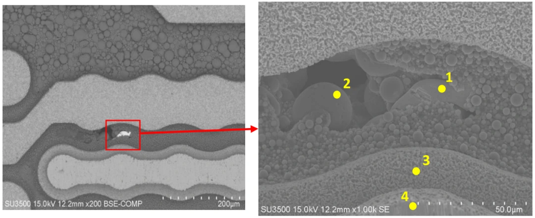 Published UR Hongxin case: SEM morphology and EDS points